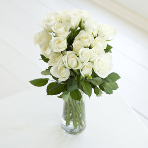 Just Roses - White