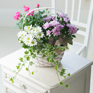 Flowers Direct Large Indoor Basket