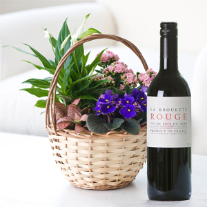 Flowers Direct Small Autumn Indoor Basket with Red Wine