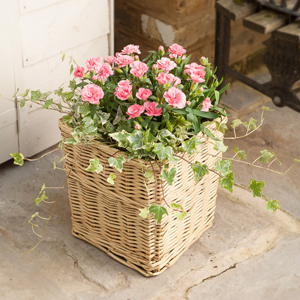 Flowers Direct Summer Outdoor Basket