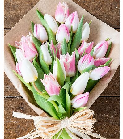 Flowers Direct Tulips in Pastel Pink and White