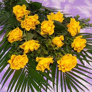 Flowers Directory 12 Yellow Illios Rose Bouquet