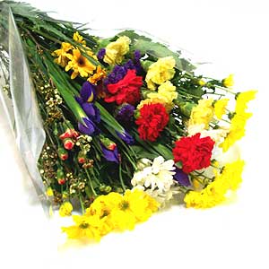 Flowers Directory Assorted Seasonal Presentation