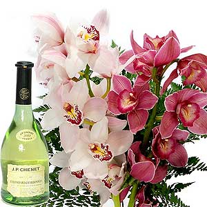 Cymbidium Orchids and White Wine