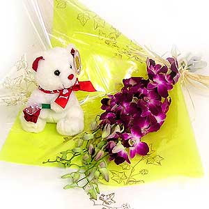 Dendrobium Orchids and Teddy