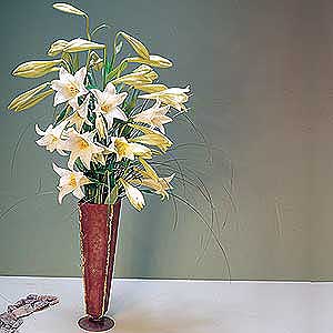Flowers Directory Longiflorum Bouquet