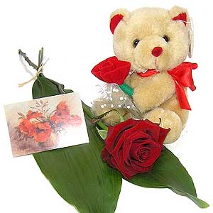 Flowers Directory Single Red Rose and Teddy