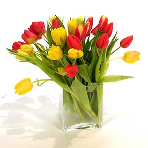 Flowers Directory Tulip in designer glass vase