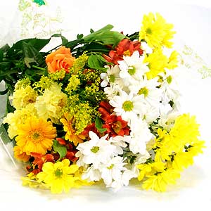 Flowers Directory Yellow Flower Festival