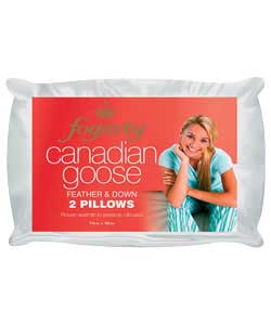 Fogarty Pair of Canadian Goose Feather and Down Pillows