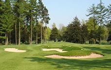 Forest Pines Golf and Country Club Hotel , Dinner, Bed and Breakfast, 1 night, 2 rounds of golf