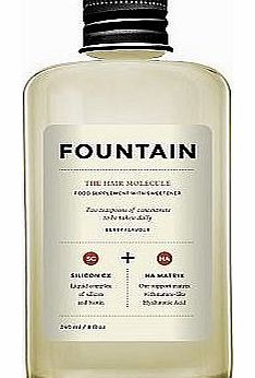 Fountain / THE HAIR MOLECULE / 240ML / 8 FL oz