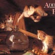 Four Seasons ADDRESS BOOK Cats