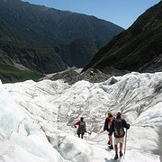 Glacier Guided Half Day Walk - Adult