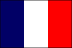 France paper flag, 11`` x 8``