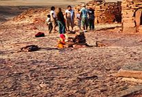 Matamir to Nawamis: Sinai Desert Camel Trek
