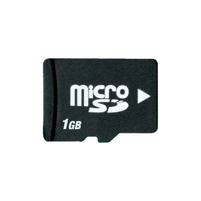 Fuji 1GB Micro SD Card (includes adapter)