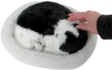 Funtime Pet Nap Kitten (black)