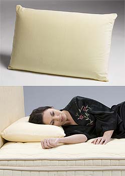 Furniture123 Restwell Splendor Memory Foam Pillow - WHILE