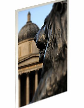 Gallery One Lion Statue, Trafalgar Square Postcard