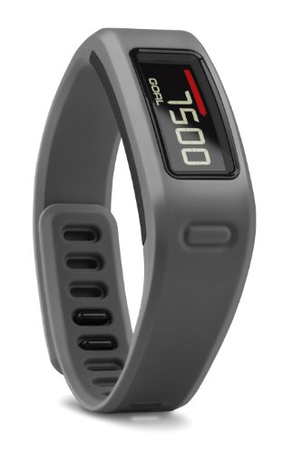 Vivofit Wireless Fitness Wrist Band and Activity Monitor - Slate