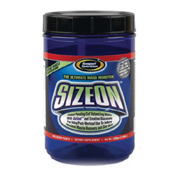 Nutrition Sizeon - 1280g Berry