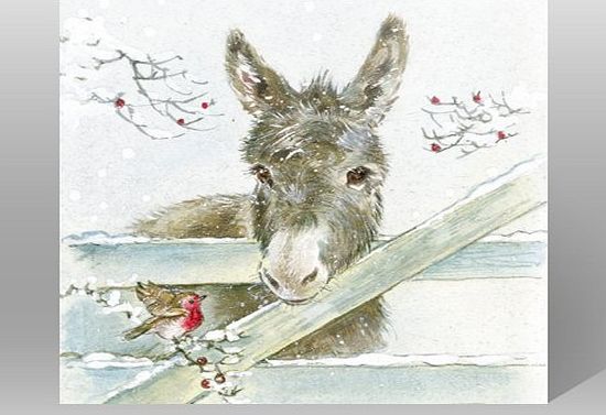 Medici Charity Christmas Cards - Pack Of 8 Cards - Donkey & Robin - In aid of the following Charities: Marie Curie Cancer Care, Donkey Sanctuary, Woodland Trust, Parkinsons, CLIC Sargent, HFT