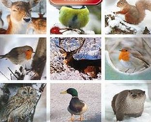 GBCC Medici Charity Christmas Cards (MED1999) - Pack Of 8 Cards - Winter Wildlife - In aid of the following Charities: Marie Curie Cancer Care, Donkey Sanctuary, Woodland Trust, Parkinsons, CLIC Sargent, H