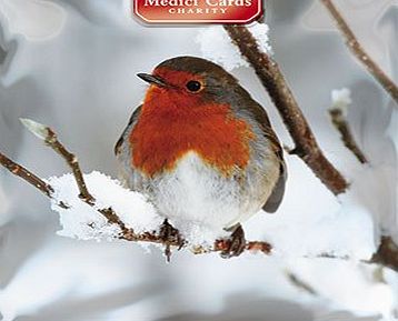 GBCC Medici Charity Christmas Cards (MED6864) Pack Of 8 Cards - Robin - In aid of the following Charities: Marie Curie Cancer Care, Parkinsons, CLIC Sargent, Oxfam, Lifeboats, Macmillan