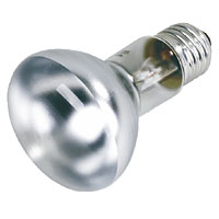 GE Reflector Lamp R63 60W ES