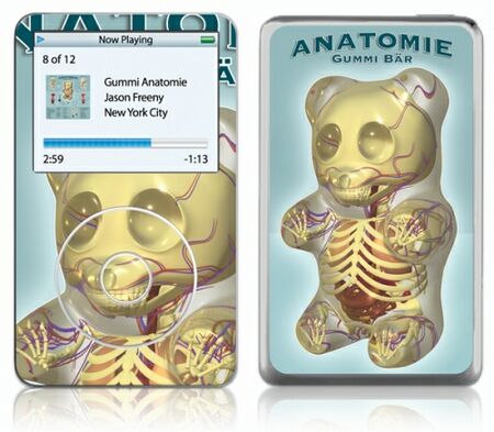 iPod Video GelaSkin Gummi Anatomie by Jason Freeny