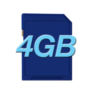 4GB SD Card (SDHC) - Class 2
