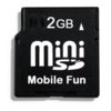 Mini Secure Digital Card - miniSD - 2GB