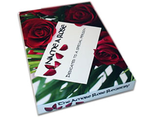 Getting Personal Name a Rose Gift Pack