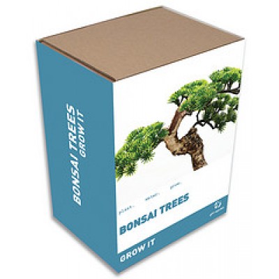 Gift Republic Grow It: Bonsai Trees