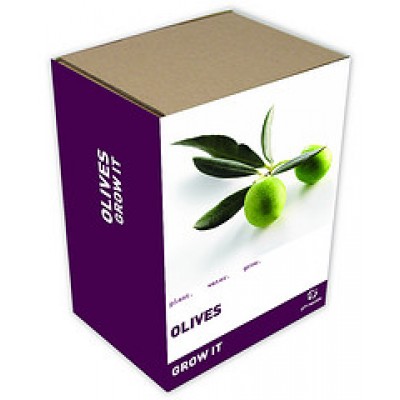 Gift Republic Grow It: Olives