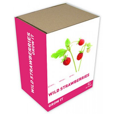 Gift Republic Grow It: Wild Strawberries