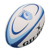 Cardiff Blues Replica Rugby Ball