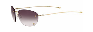 Giorgio Armani 201s Sunglasses