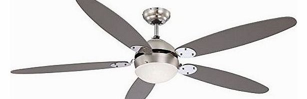 E14 Ceiling Fan with Brushed Nickel Downrod and Blade Holder