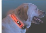 Nite Ize Dog collar Bright Red high Visability LED Lights large 18` - 27`.