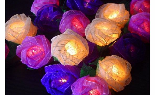 GLOWFROST TM Old English Purple Mixed Colour Rose Fairy Light String