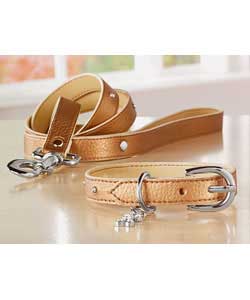 Gold Coloured Metallic Collar and Lead Set