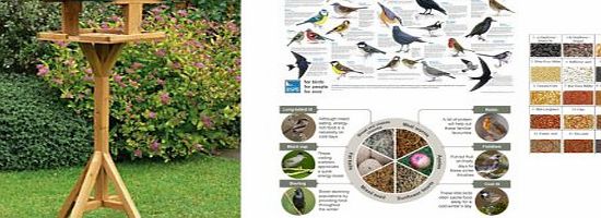 Good Ideas Traditional Wooden Bird Table (1475A) Lovely addition to your garden and protects birds from predators.