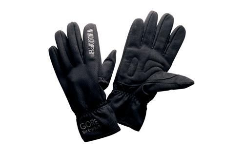 Gore Mistral 2 Glove