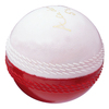 GRAY-NICOLLS Academy Cricket Ball (545404/5)