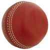 GRAY-NICOLLS Matchplay Cricket Ball