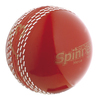 GRAY-NICOLLS Monty Spinner Cricket Ball (542305)