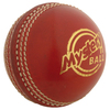 GRAY-NICOLLS Mystery Cricket Ball (541904/5)