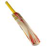 GRAY-NICOLLS Powerbow Pro Performance Cricket